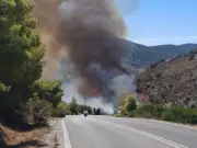 Salamis wildfires: evacuations ordered as two blazes threaten homes