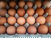 Salmonella cases rise linked to imported eggs, UKHSA says