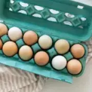 Salmonella outbreak nears 500 cases: Is it safe to eat eggs?