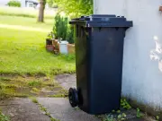 Salt hack keeps wheelie bins clean and fly-free all summer