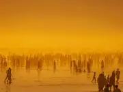 Scientists warn 'collapse of civilisation is the most likely outcome'