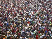 Scientists warn of 10% chance of civilisation surviving deforestation