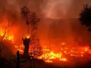 Scientists Warn of 'Ghastly Future' of Mass Extinction and Climate Chaos