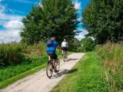 Scotland's 'most unique' bike route in forest feels like Harry Potter film