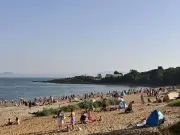 Scottish beach dog ban could lead to £1,000 fines