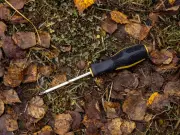 Screwdriver test can revive yellow lawns after UK drought