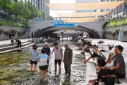 Seoul issues first severe heatwave warning as death toll hits 16