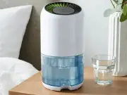 Shoppers Rush to Buy Martin Lewis-Approved £20 Dehumidifier for Damp