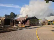 Shropshire zoo fire kills three pets, attraction closed