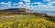 Sidmouth: Devon's hidden gem for multigenerational staycations