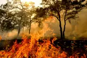 Sierra Nevada Foothills Fire Claims One Life
