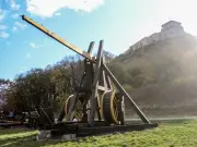 Skeleton with 160 fractures is first confirmed trebuchet victim