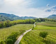 Slovenia's Vipava Valley: A Slow Travel Success Story