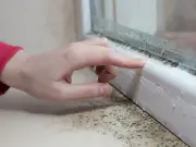 'Small but mighty' dehumidifier deal now cheaper than Amazon