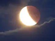 Solar eclipse forces Welsh horse racing to move start time