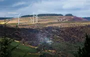South Wales summer fires: a season of devastation lingers