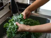 Sow These 3 Crops in August for Winter Salad