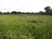 Stockport council leader defends green belt legal battles