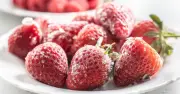 Strawberries Stay Fresher With Edible Agar Coating
