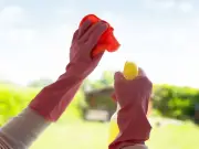 Streak-Free Windows: Vinegar and Newspaper Trick