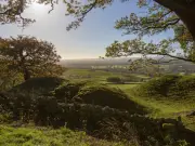 Stunning Dog-Friendly Holiday Cottage in County Durham Praised by Guests
