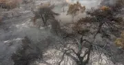 Suffolk nature reserve left 'unrecognisable' after wildfire