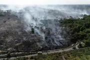 Suffolk wildfire: crews reduce appliances as appeal launched