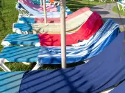Sunbed Wars: Tourists Sprint for Pool Spots in Viral Video