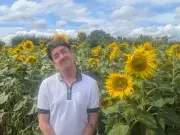 Sunflower trail at Kenyon Hall Farm opens after three-year wait