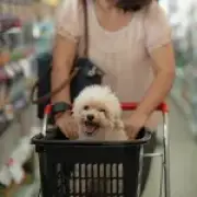 Supermarket Dog Debate: Shoppers Split Over 'Unsanitary' Habit