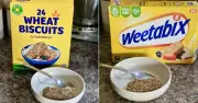 Supermarket Weetabix taste test: Only one scored 10/10