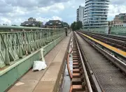 Swan on DLR tracks causes rush-hour delays in east London
