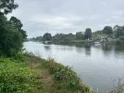 Swimmers warned to avoid London's first Thames bathing spot over toxic algae
