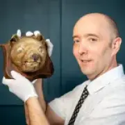 Taxidermy 'fox head' bought for £50 sells for £60,000 as rare thylacine