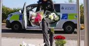 Tech firms urged to remove 'truly reprehensible' joyriding videos after fatal crash