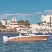 The Palm Beaches: America's Unexpected Culinary Hotspot