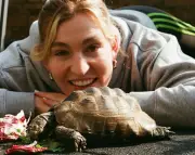 The Pet I'll Never Forget: Darwin the High-Maintenance Tortoise