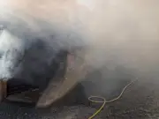 Three animals die in devastating fire at Hoo Zoo and Dinosaur World