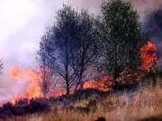 Three teens arrested over Treherbert wildfire arson