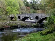 Tiny Welsh Village Cenarth: Waterfalls, Shops, Tearoom