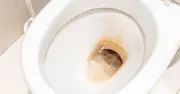 Toilet limescale gone in 1 hour with Home Bargains cleaner—no scrubbing