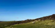 Top 10 UK country walks ending at a pub, ranked by ratings