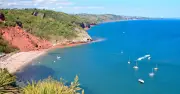 Torquay crowned UK's most dog-friendly seaside town with 114 facilities