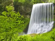 Tourist, 20, dies in 177-foot waterfall fall while taking photos