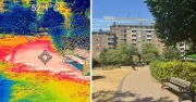 Trees could be 'urban wonder drug' to cool UK cities during heatwaves