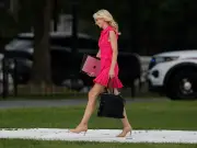 Trump aide Natalie Harp's £300 pink dress as president stumbles from Marine One