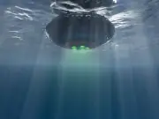 Trump Claims Aliens 'In the Ocean,' Says Jack Osbourne
