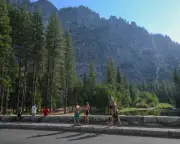Trump's Yosemite Sell-Off Plan Shows Oligarchy in Action
