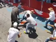 Two die in Mexican bull-running bloodbath as 21 beasts released on city streets