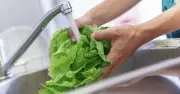 Two die in US cyclospora outbreak linked to lettuce